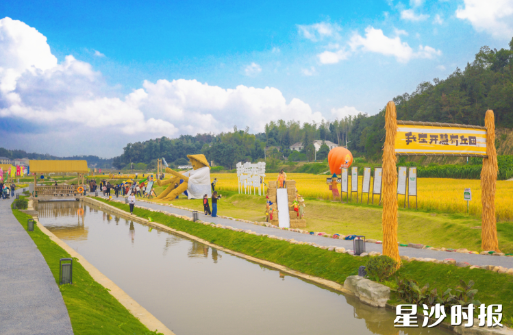 乡村CEO易丹带领团队以“农田认领+共享经济”为核心，蹚出集体经济发展新路。章帝 摄