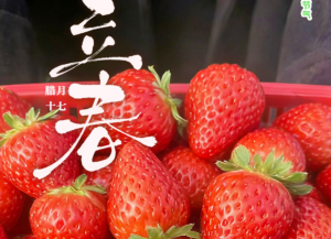 诗意繁花·二十四节气丨立春：春始归，万物苏