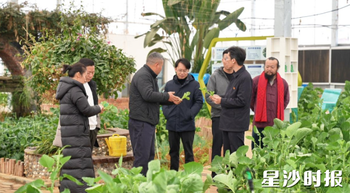 高桥镇委员活动组委员们走访辖区农业企业。