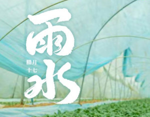 诗意繁花·二十四节气丨雨水：雨润春，万物盛
