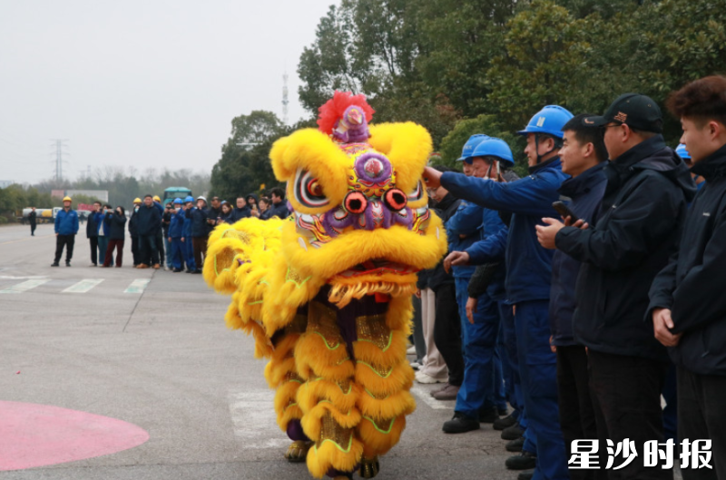 瑞狮憨态可掬。