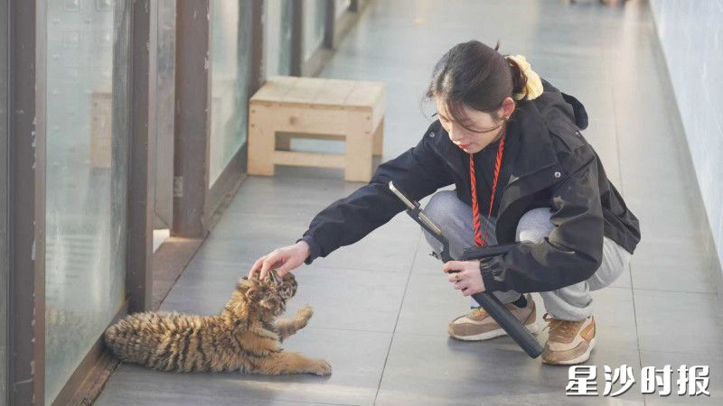 网友通过“云投喂”“云认养”热情互动。 网友通过“云投喂”“云认养”热情互动。