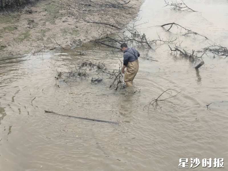 农裕村罗伟奇主动疏通河道。