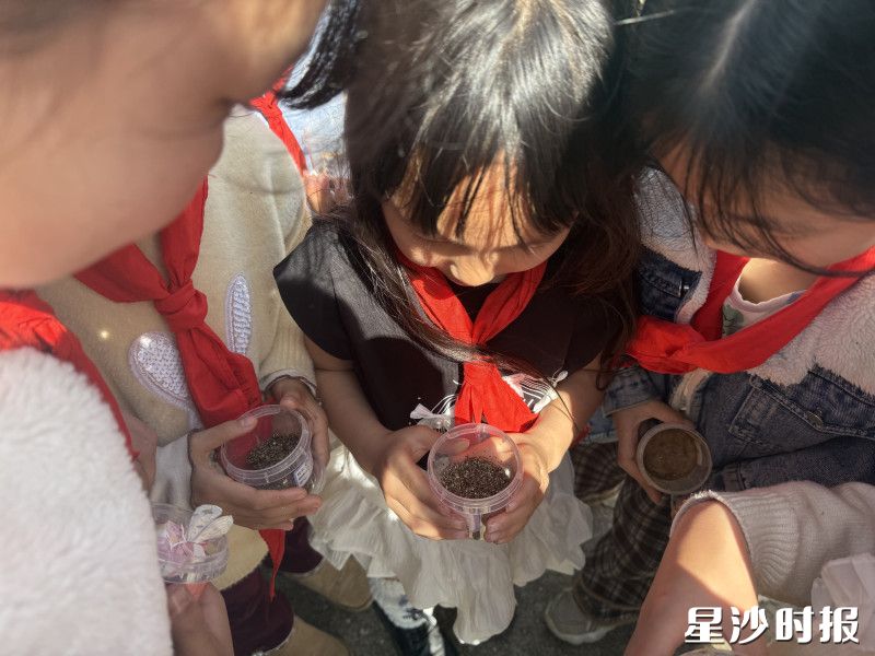 孩子们聚在一起观看种子的情况。 孩子们聚在一起观看种子的情况。