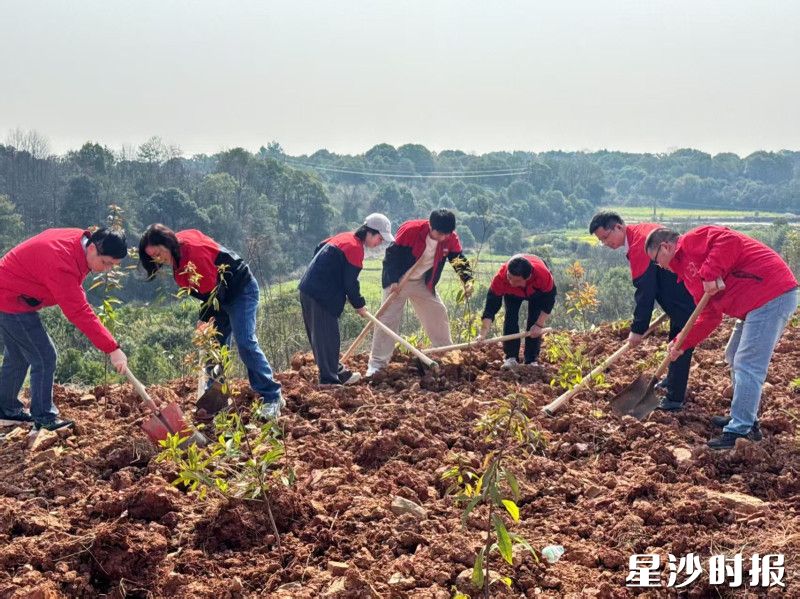 檀木桥社区植树活动现场。均为㮾梨街道供图