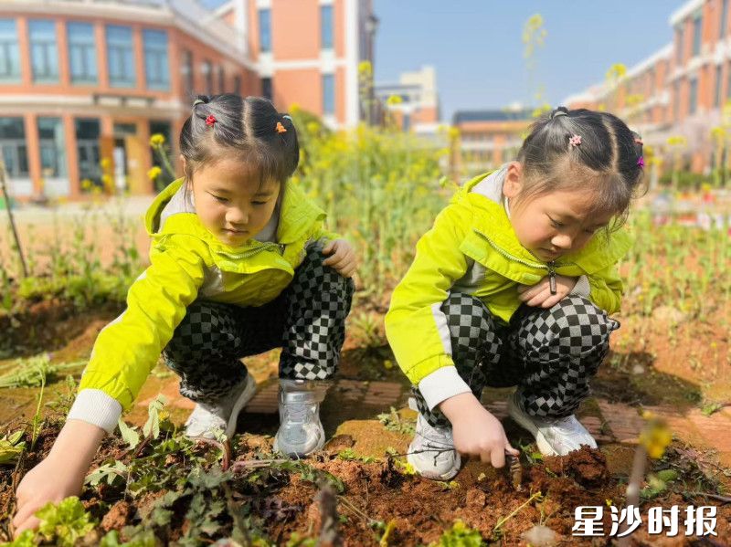 六艺天骄自贸临空园和星城园的孩子们与家长一起走进户外、来到园区，实地开展植树活动。