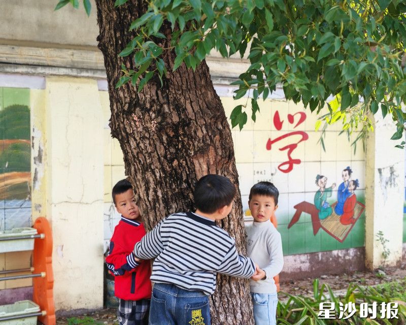 黄兴镇蓝田幼儿园老师带领孩子们开展“抱大树，保护大树”活动。