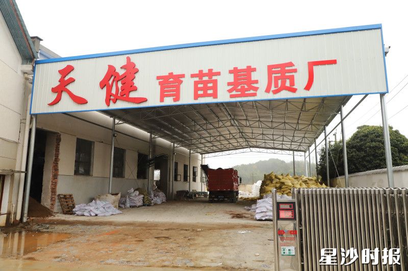 天健农业新建的育苗基质厂。均为阮霖浩 摄