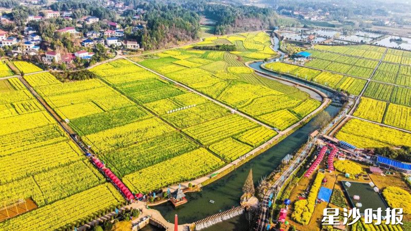 图为江背镇五福村油菜花海。均为江背镇供图