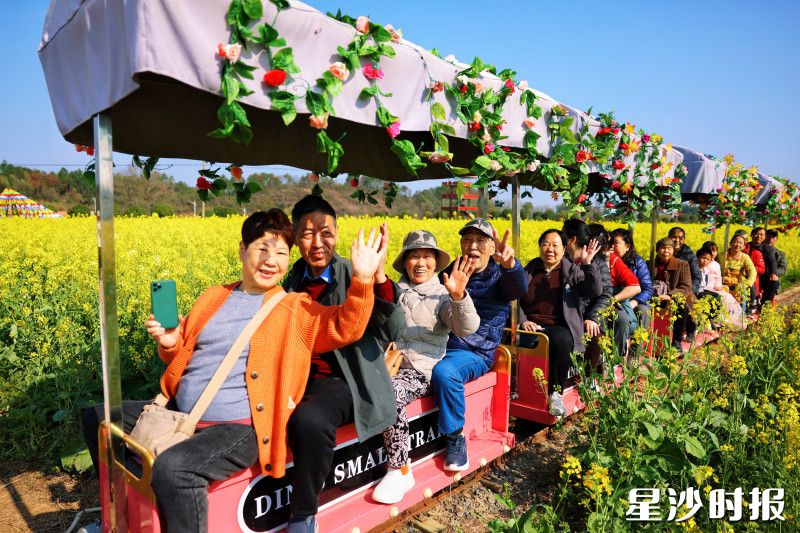 油菜花海小火车。