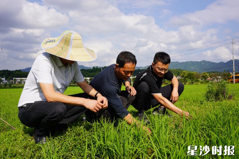粮易智联团队为农户提供科学种植指导。企业供图