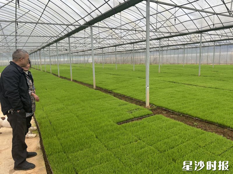 农技人员下沉田间开展指导。