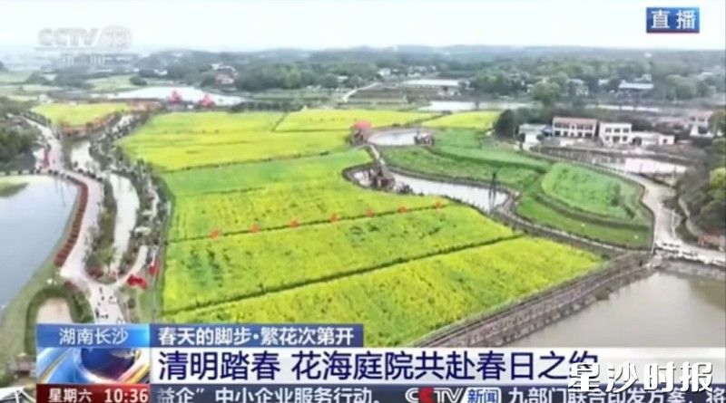 央视新闻频道《新闻直播间》报道长沙县长龙街道湘峰村以花海庭院邀市民游客共赴春日之约。