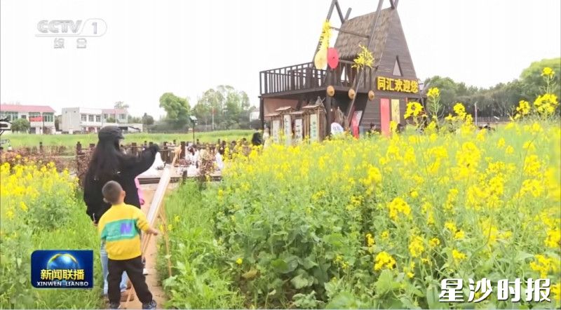 央视《新闻联播》报道长沙县长龙街道湘峰村以花为媒发展庭院经济，吸引游客踏青赏花。