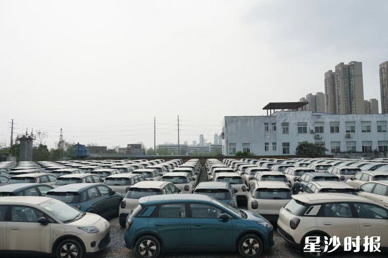 阳高地块如今停满新车。