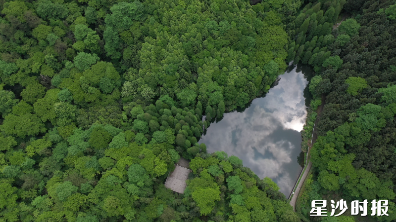 大山冲森林公园。均为路口镇供图