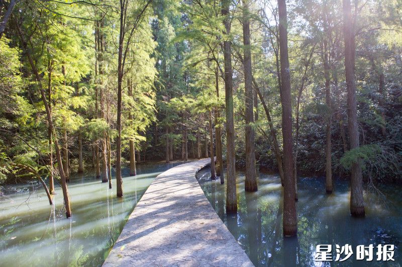 大山冲森林公园。