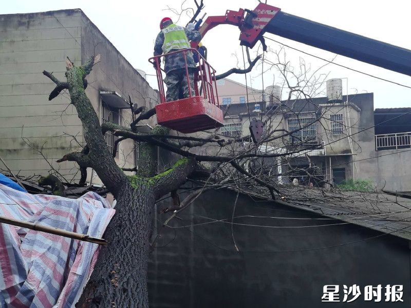 工作人员争分夺秒地作业，两小时后隐患彻底清除。均为安沙镇供图