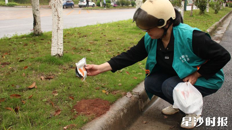 园林工人撒施药剂防治红火蚁。