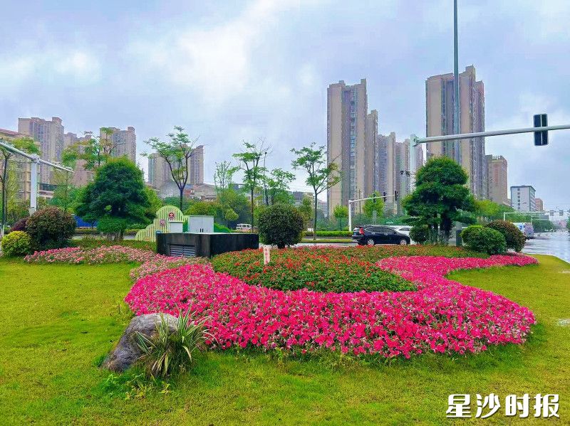 黄兴黄江公路与宋公塘路交会处景观。长沙县城管局供图