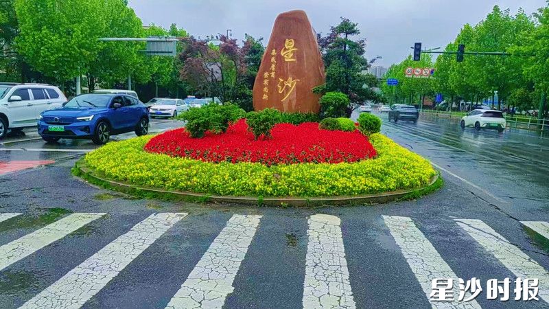星沙大道与高家坡路交汇处北侧中央绿化带景观。长沙县城管局供图