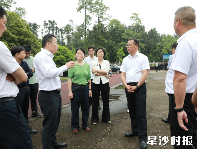 调研组在路口镇枫树小学调研。 调研组在路口镇枫树小学调研。