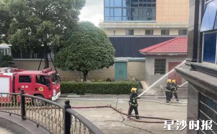 活动现场。江背镇供图 活动现场。江背镇供图