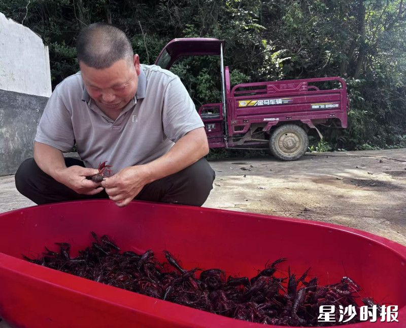 基地负责人正在查看小龙虾长势。均为杨源 摄