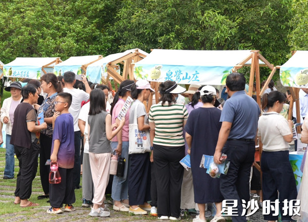 活动现场。均为北山镇供图 活动现场。均为北山镇供图