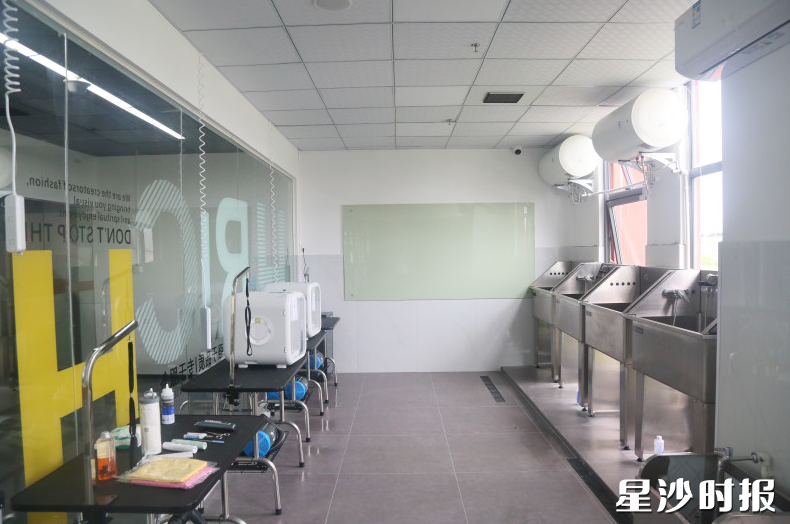 爱恬宠拥有现代化教学场地,设备齐全。 爱恬宠拥有现代化教学场地,设备齐全。