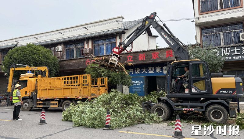 工作人员开展道路绿化清障、枯枝清运作业。福临镇供图