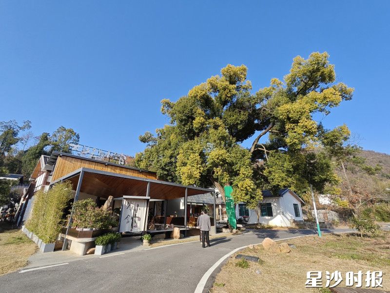 图为大沙里茶小馆。杨源 摄 图为大沙里茶小馆。杨源 摄