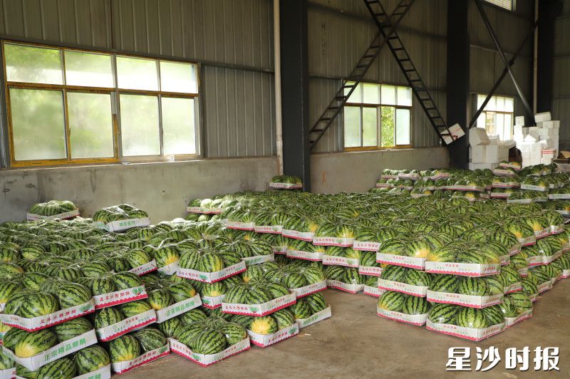 一箱箱西瓜准备打包装车发出。 一箱箱西瓜准备打包装车发出。