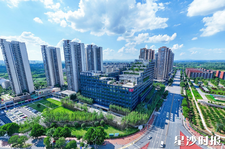 长龙街道中南大学人工智能产业基地。