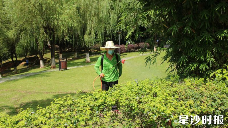 园林工人姜寿良在特立公园喷洒蚊虫消杀药剂。莫婷 摄