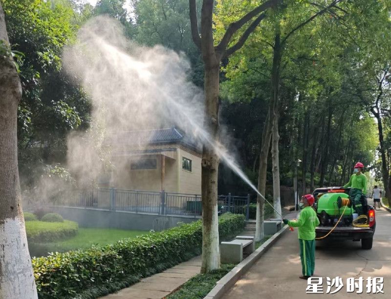 松柏公园园林工人使用大型打药机，向高大树木喷洒蚊虫防制药剂。长沙县城管局供图