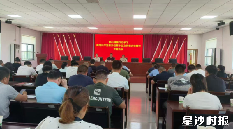 图为会议现场。青山铺镇供图