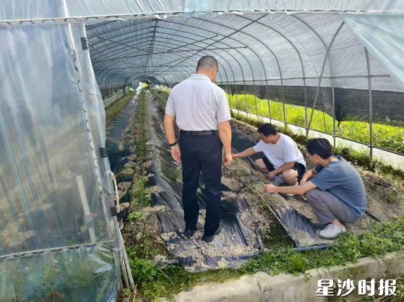 委员们在田间地头查看农业生产。 委员们在田间地头查看农业生产。