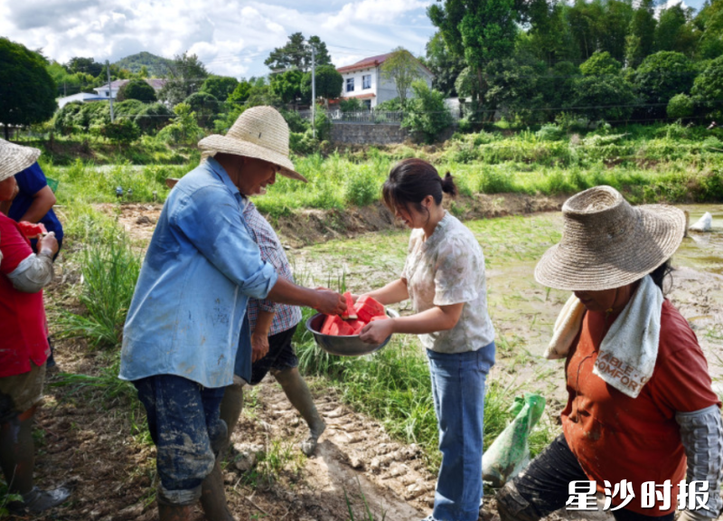 志愿者为农户送上消暑食品。青山铺镇供图 志愿者为农户送上消暑食品。青山铺镇供图