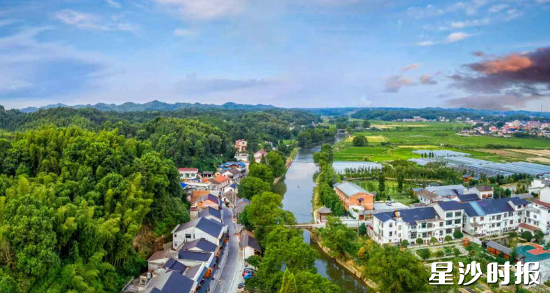 金井河高桥段。