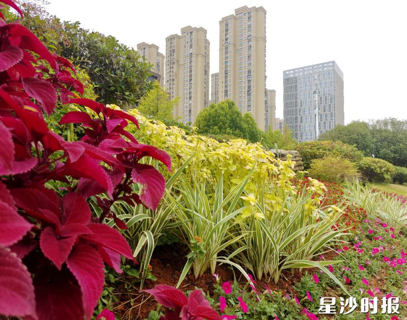 东六路市民会议中心中央绿化带景观亮眼。 东六路市民会议中心中央绿化带景观亮眼。