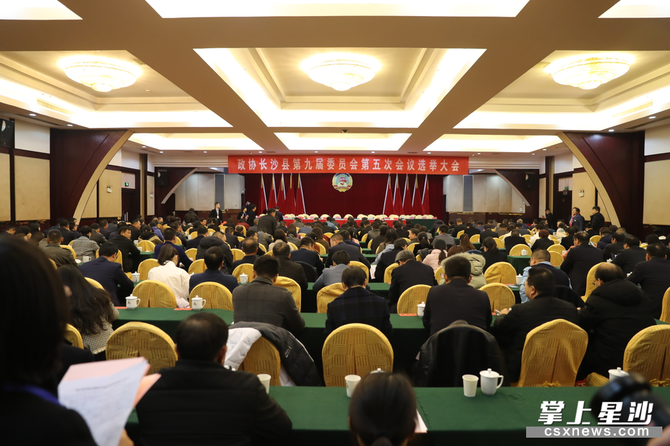 图为政协长沙县第九届委员会第五次会议选举大会。李文尧 摄