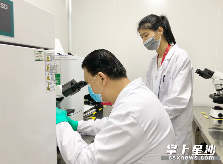 人大代表王健（左）正在研究干细胞。宋彬彬 摄