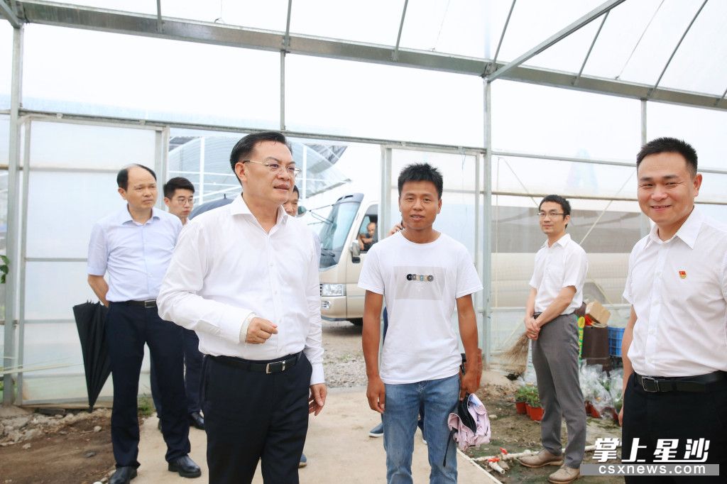 沈裕谋在星航农业有限公司调研长沙万亩花卉基地生产经营情况。
