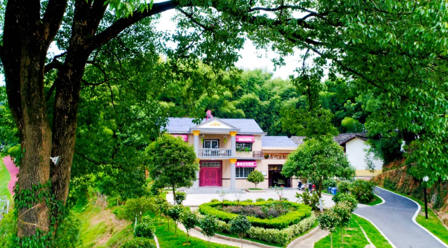 青松老年公寓探索"乡村康养旅居"养老新模式