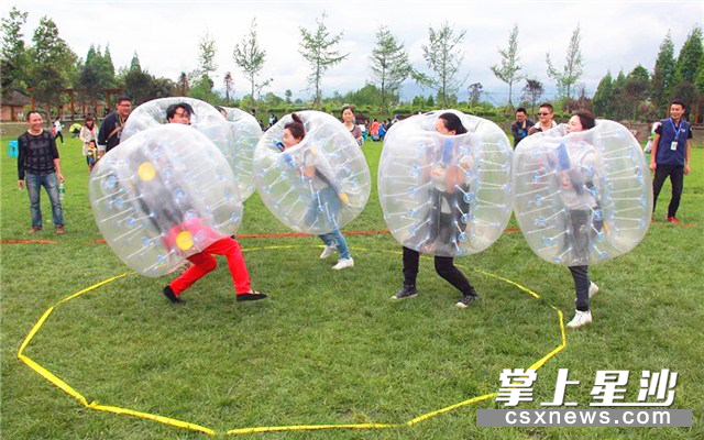 单位党团建就来田汉花乐谷