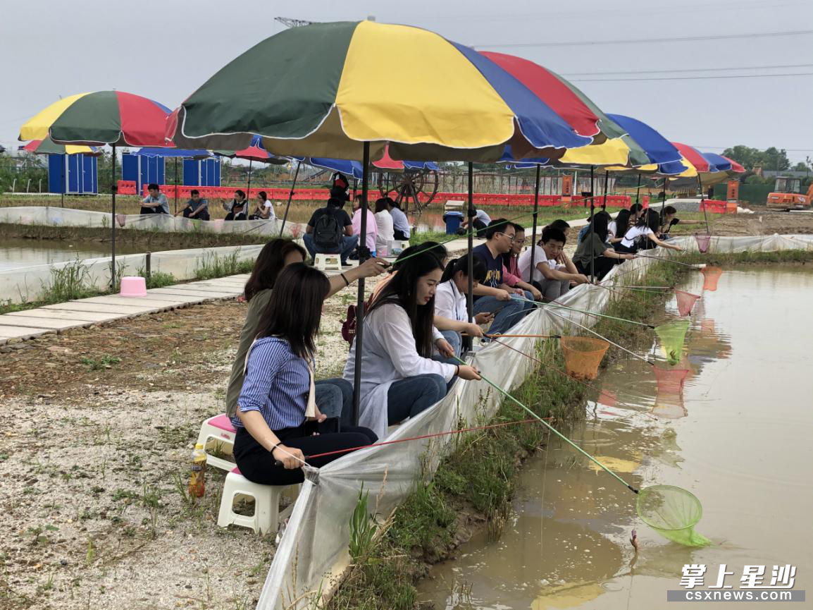 单位党团建就来田汉花乐谷