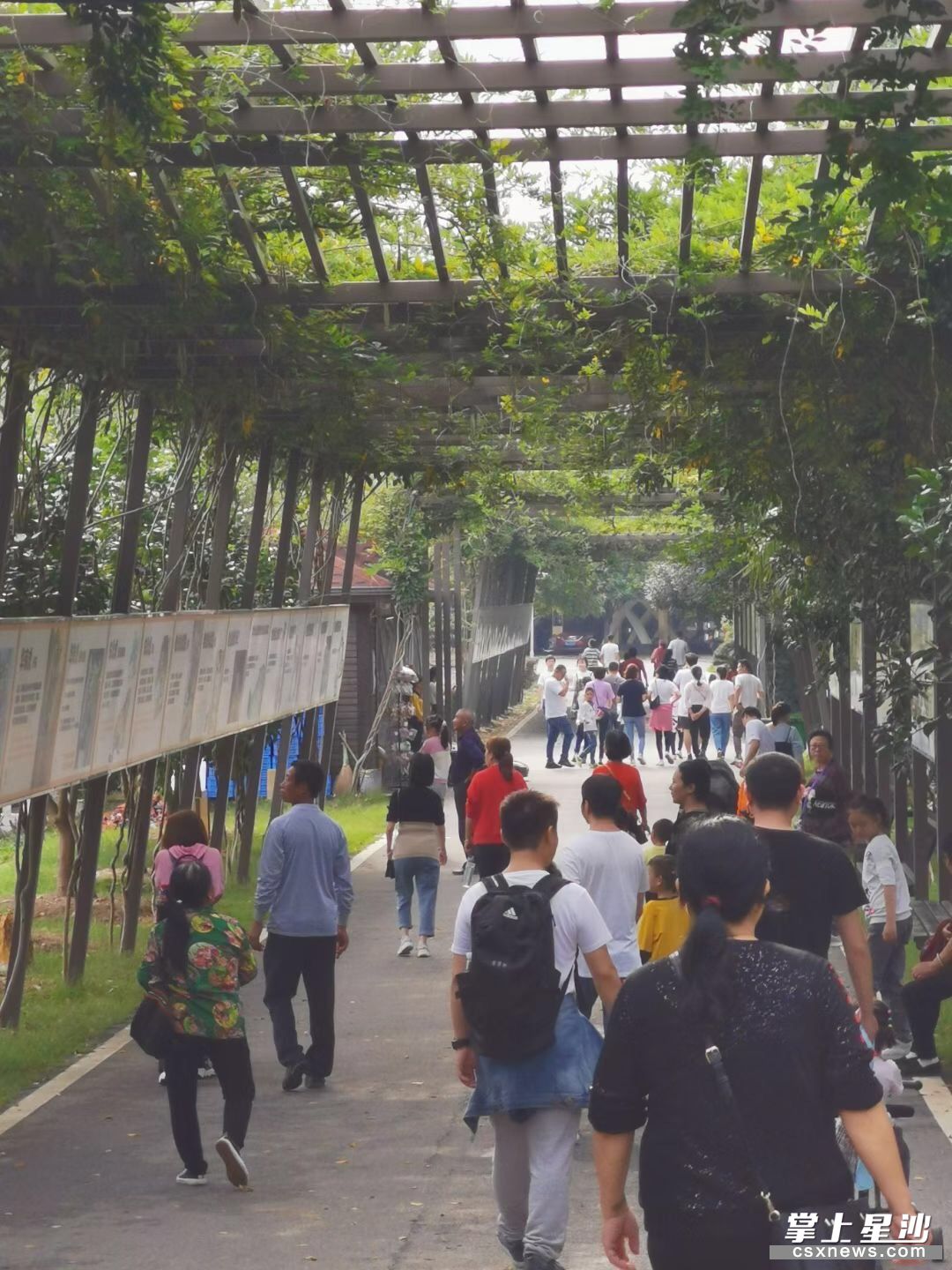 在三珍虎园,游客络绎不绝。 在三珍虎园,游客络绎不绝。