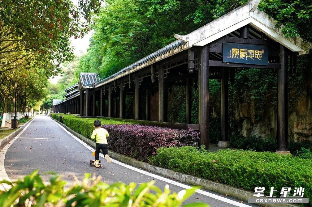 徐特立公园是一处陶冶情操与健身休闲的好地方.盛磊  摄