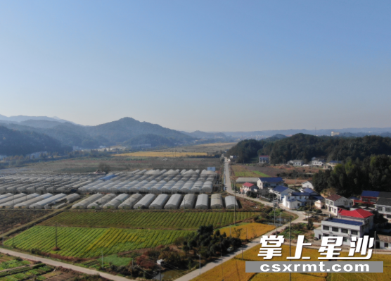 无人机高空巡查下金双线旁的场景。